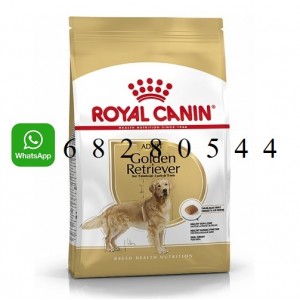 ROYAL CANIN 法國皇家 Golden Retriever Adult 狗糧 12kg