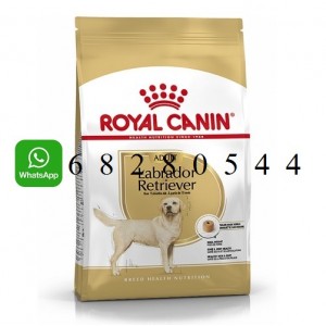 ROYAL CANIN 法國皇家 Labrador Retriever Adult 狗糧 12kg