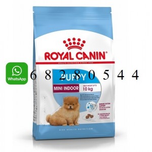 ROYAL CANIN 法國皇家 Mini Indoor Puppy 狗糧 (1.5kg / 3kg)