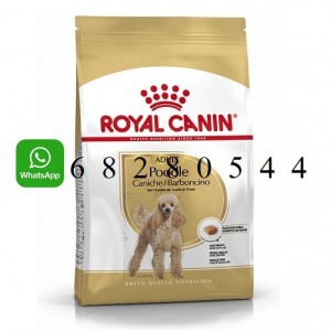 ROYAL CANIN 法國皇家 Poodle Adult 狗糧 (1.5kg / 3kg / 7.5kg)